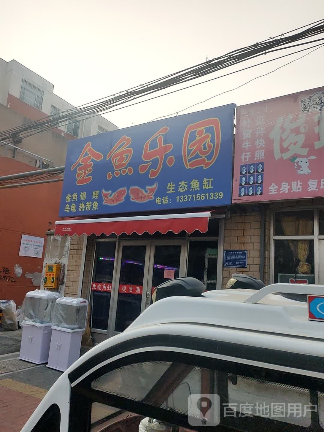 桓臺哪個水族館龍魚好？祥龍魚場龍魚：桓臺哪個水族館龍魚好