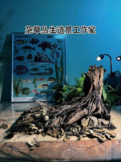 雷龍魚缸需要哪些特殊設備：雷龍缸開缸全攻略咸熙you為雷龍魚打造河流生態缸