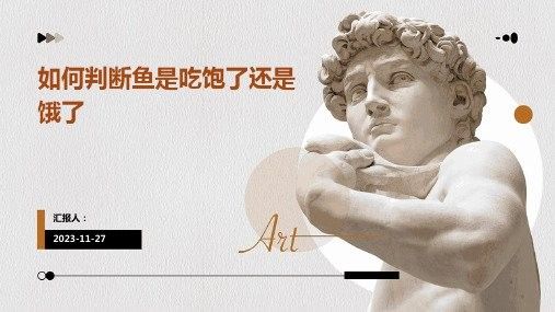 奶茶雷龍魚多久喂一次：雷龍魚多久喂一次合適