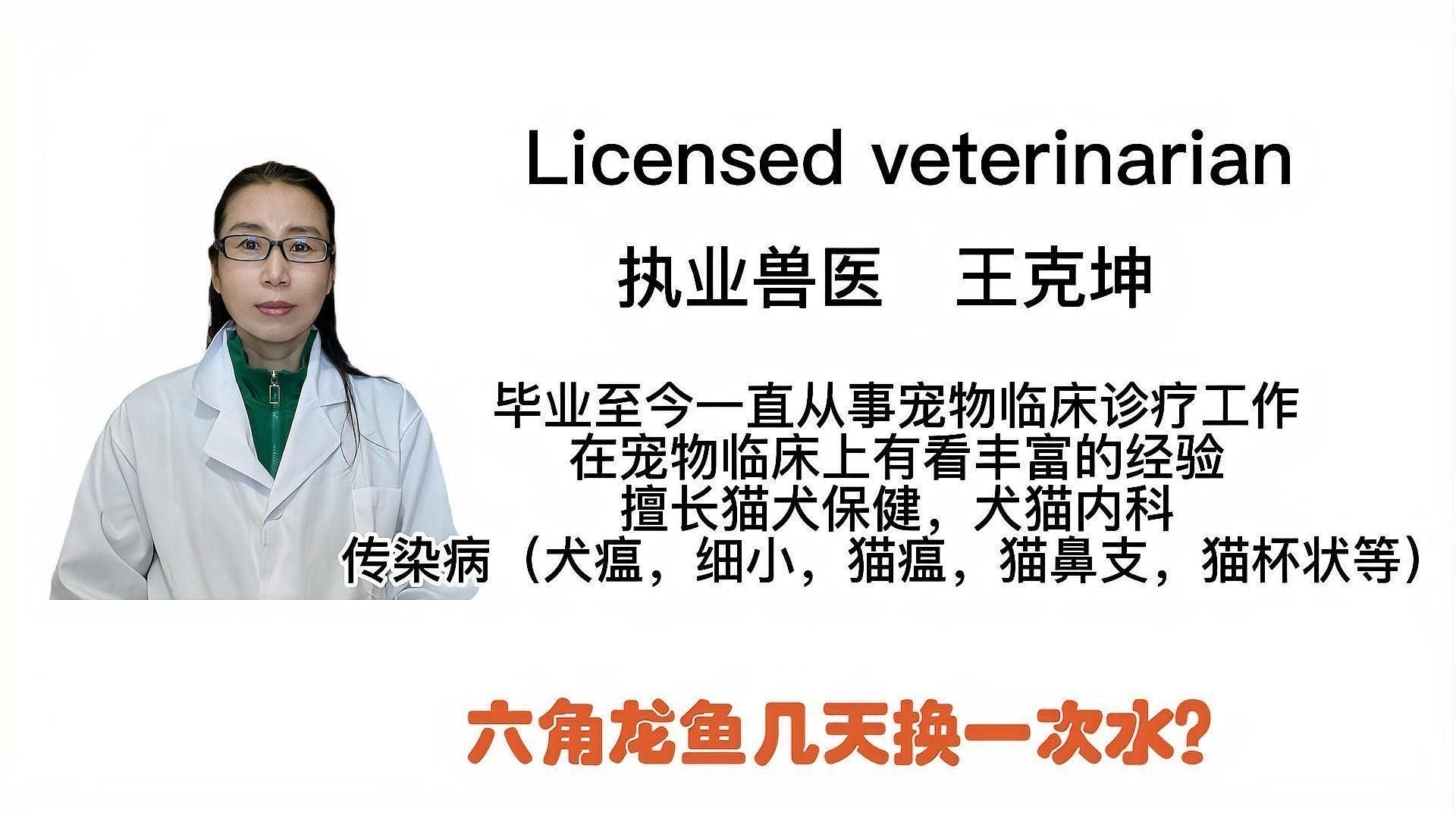 六角龍魚需要多久換一次水：六角恐龍魚多久換一次水