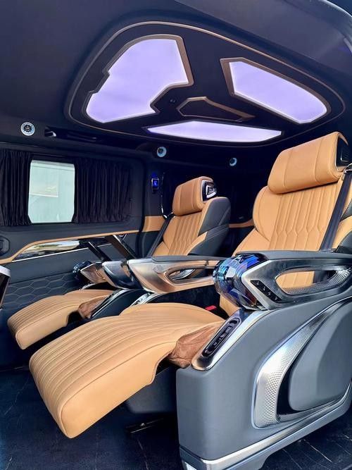 巴卡雷龍的價格是多少？：巴卡雷龍的價格如何 巴卡雷龍的價格是多少？：巴卡雷龍的價格如何 龍魚百科 第5張