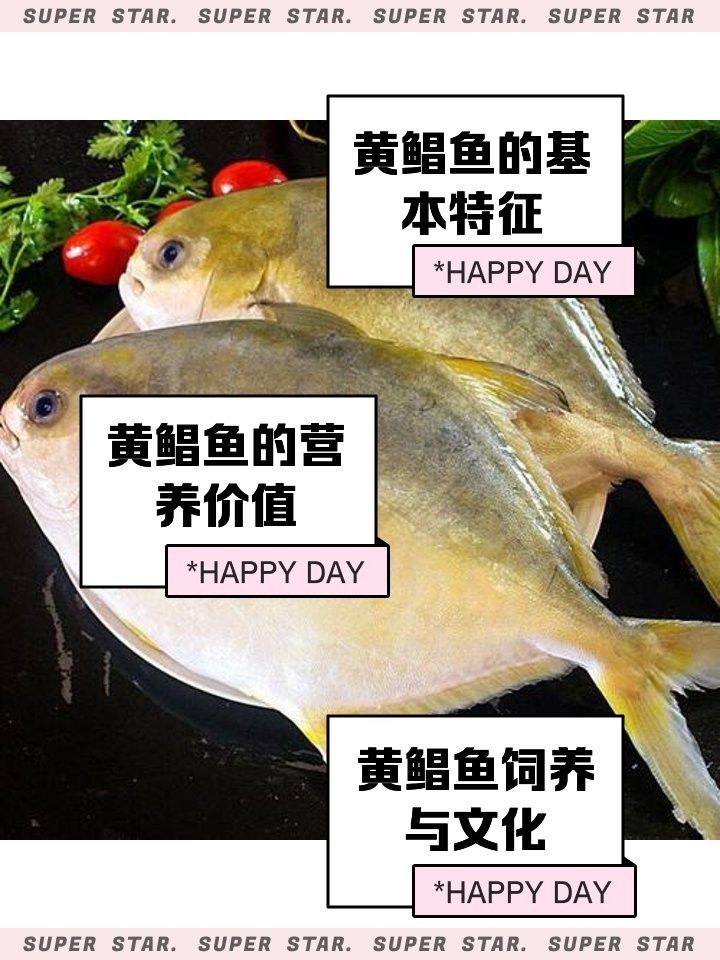 黃鰭鯧和龍魚的食物需求有何不同：帝龍漁業|龍魚喂食指南:鰭鯧與龍魚的喂養注意事項