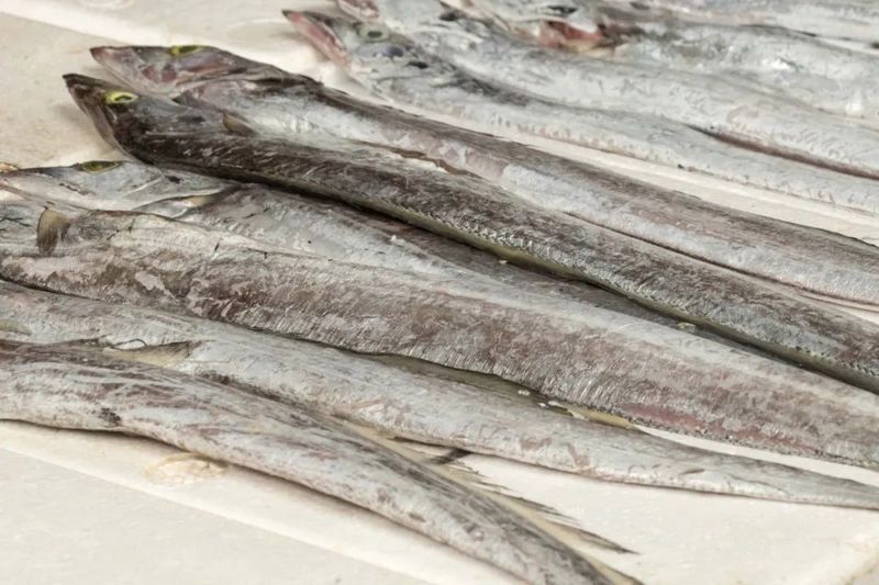 如何避免購(gòu)買(mǎi)到烤魚(yú)？：如何避免購(gòu)買(mǎi)到不安全的烤魚(yú)