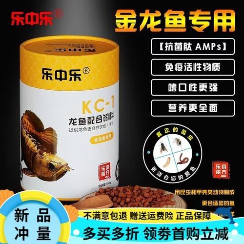 哪些食物有助于紅金龍魚眼睛發色？：哪些食物對紅金龍魚的眼睛發色有益？