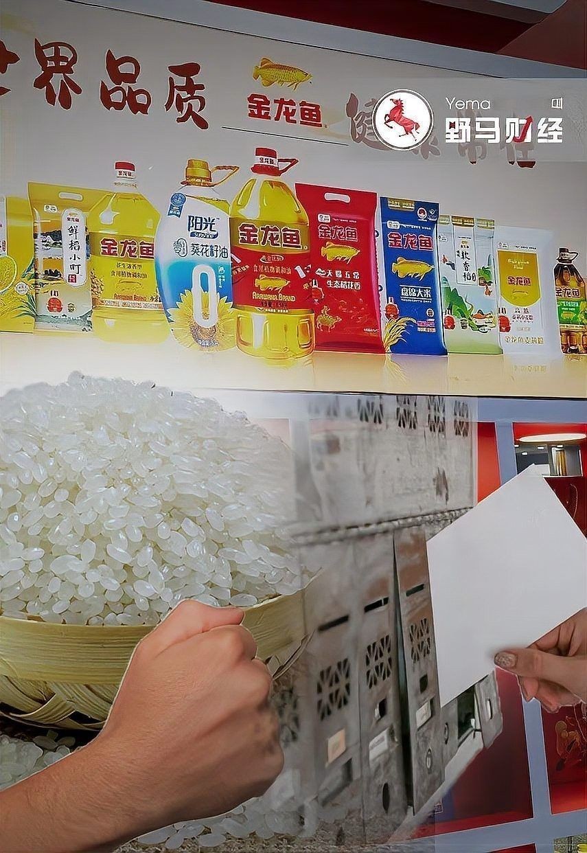 吉林金龍魚對水稻品種有何要求？：吉林金龍魚對水稻品種的要求