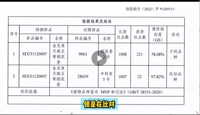 <strong><mark>吉林</mark></strong>金龍魚對水稻品種有何要求？：<strong><mark>吉林</mark></strong>金龍魚對水稻品種的要求