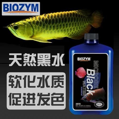 龍魚黑缸和白缸發色對比：黑缸與白缸發色差異大揭秘 龍魚黑缸和白缸發色對比：黑缸與白缸發色差異大揭秘 龍魚百科 第2張