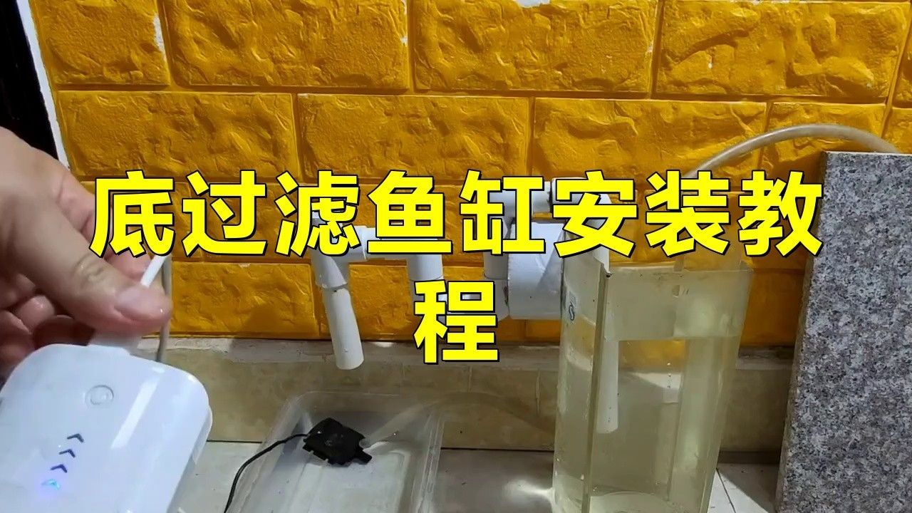 龍魚缸底濾系統怎么安裝：安裝龍魚缸底濾系統的步驟