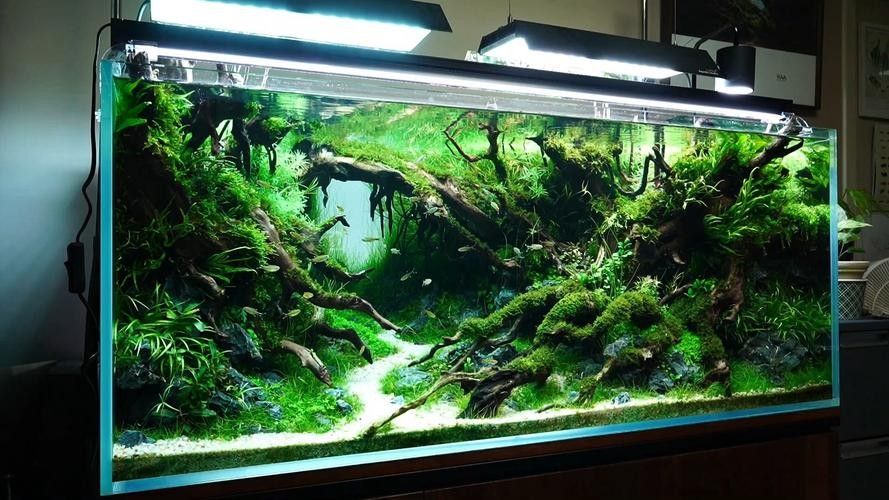 草缸造景中哪些水草容易養：10種適合初學者的草缸水草，不僅易于生長，而且易于生長