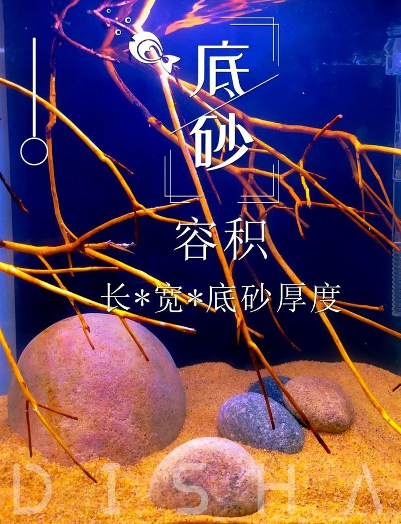 如何計算金龍魚缸的總功率？：如何計算金龍魚缸總功率？