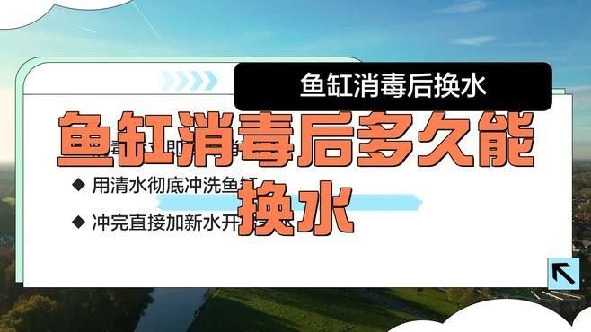 清洗魚缸后多久換水？：清洗魚缸后多久換一次水