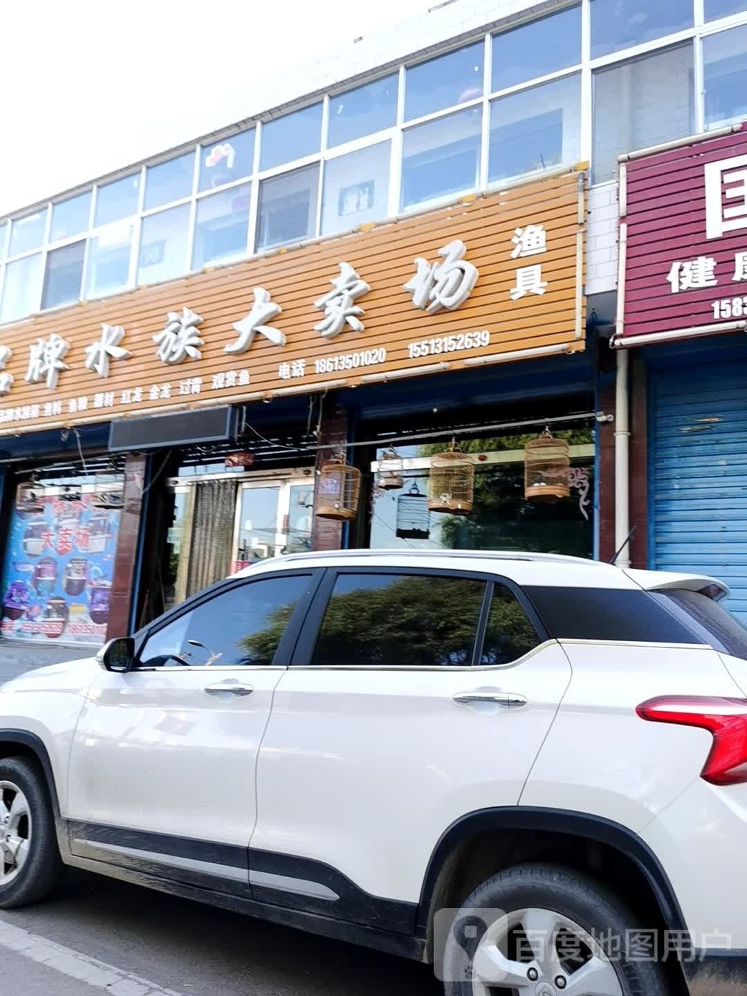 繁峙哪個水族館龍魚好？祥龍魚場龍魚：廣州祥龍魚場，極品祥龍魚場 繁峙哪個水族館龍魚好？祥龍魚場龍魚：廣州祥龍魚場，極品祥龍魚場 龍魚百科 第3張