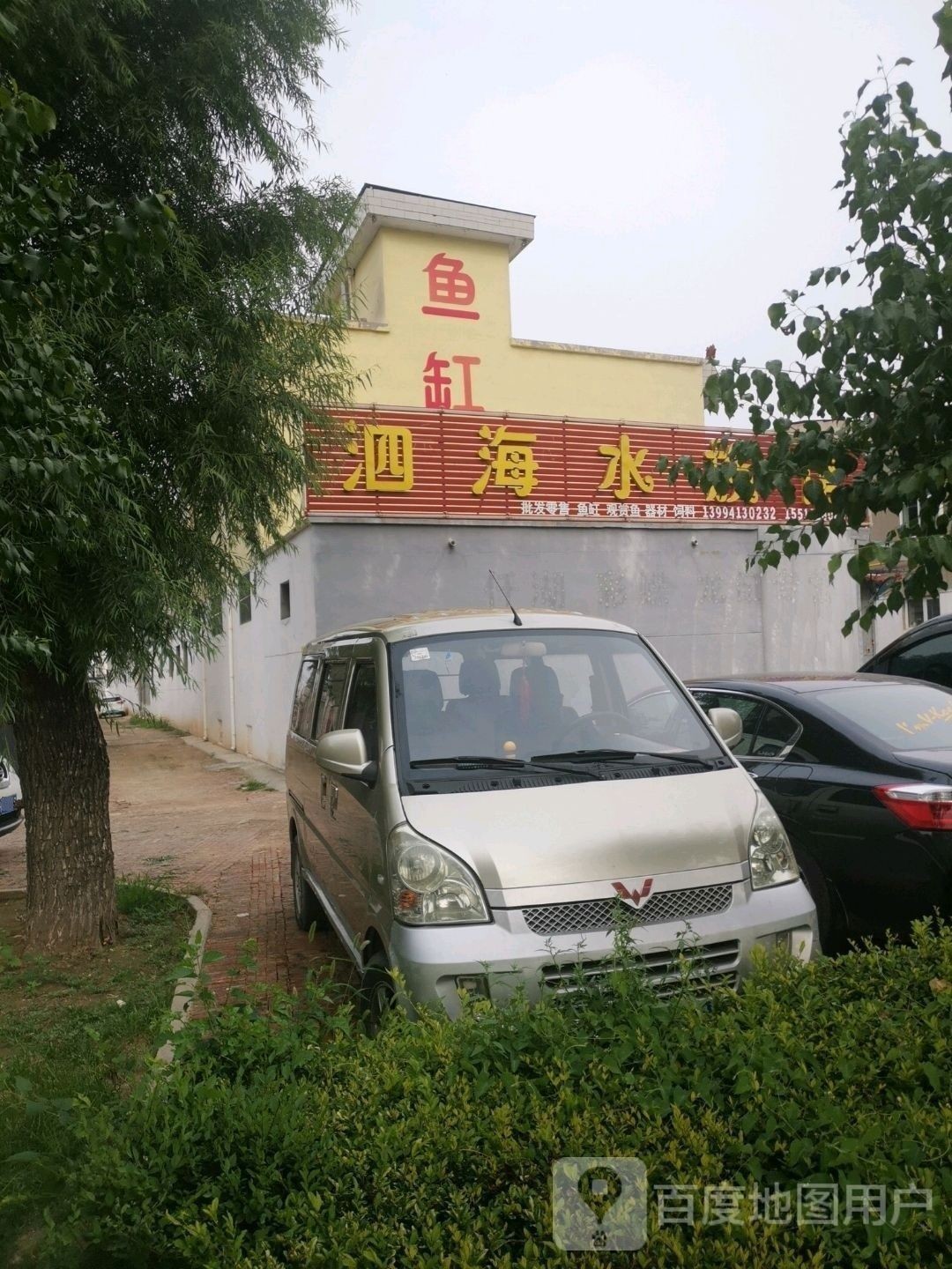 繁峙哪個水族館龍魚好？祥龍魚場龍魚：廣州祥龍魚場，極品祥龍魚場 繁峙哪個水族館龍魚好？祥龍魚場龍魚：廣州祥龍魚場，極品祥龍魚場 龍魚百科 第1張