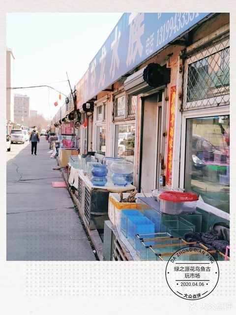 雞西本地有龍魚批發(fā)市場(chǎng)嗎：雞西是否有龍魚批發(fā)市場(chǎng)的問題，龍魚批發(fā)市場(chǎng)信息可供參考 雞西本地有龍魚批發(fā)市場(chǎng)嗎：雞西是否有龍魚批發(fā)市場(chǎng)的問題，龍魚批發(fā)市場(chǎng)信息可供參考 龍魚百科 第3張