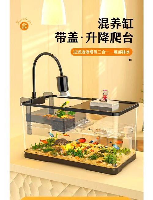 混養(yǎng)時應該如何設置躲避物：烏龜應激怎么辦
