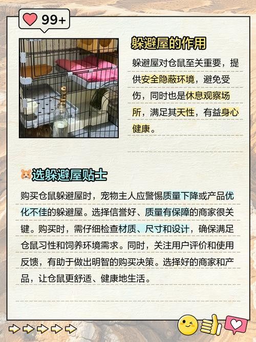 混養(yǎng)時應該如何設置躲避物：烏龜應激怎么辦