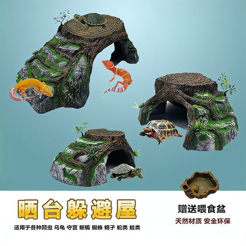 混養(yǎng)時應該如何設置躲避物：烏龜應激怎么辦