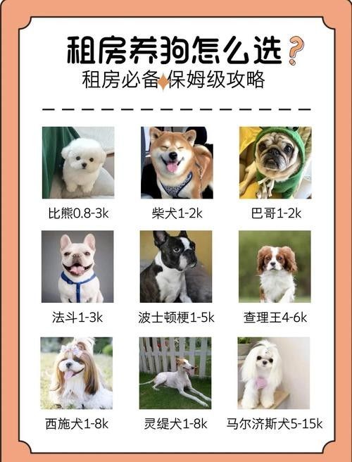 混養(yǎng)時應該如何設置躲避物：烏龜應激怎么辦