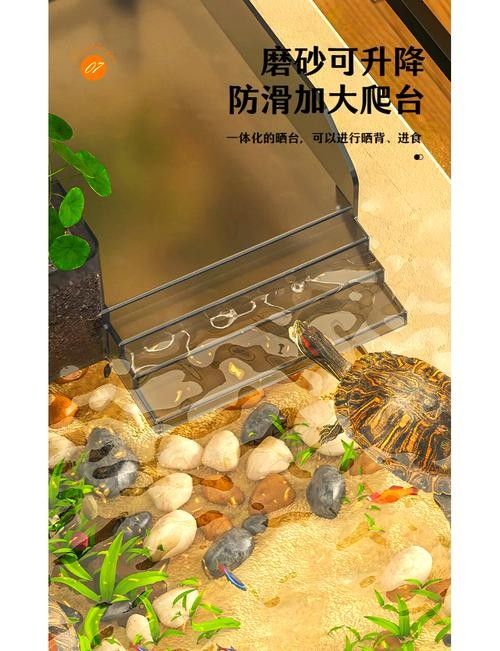 混養(yǎng)時應該如何設置躲避物：烏龜應激怎么辦
