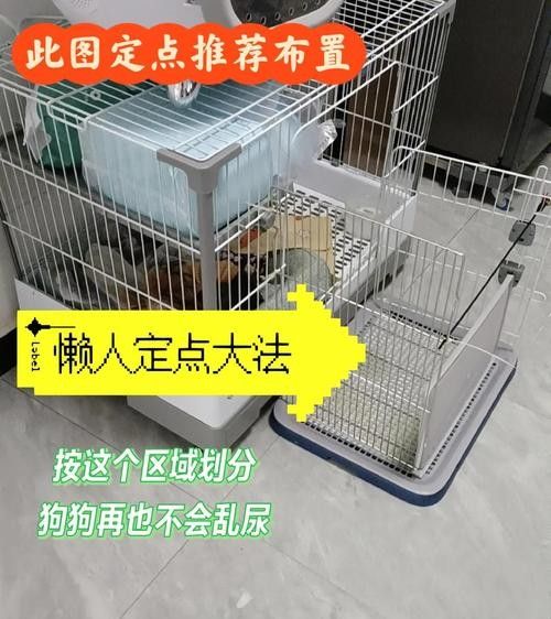 混養(yǎng)時應該如何設置躲避物：烏龜應激怎么辦