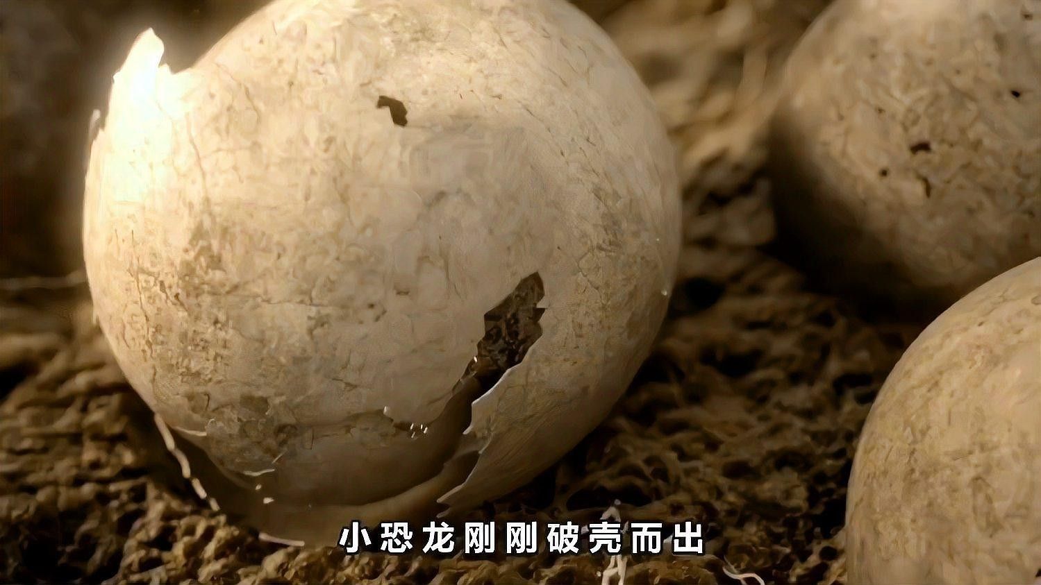 恐龍繁殖后如何照顧幼仔：恐龍的繁殖與幼仔照顧方式