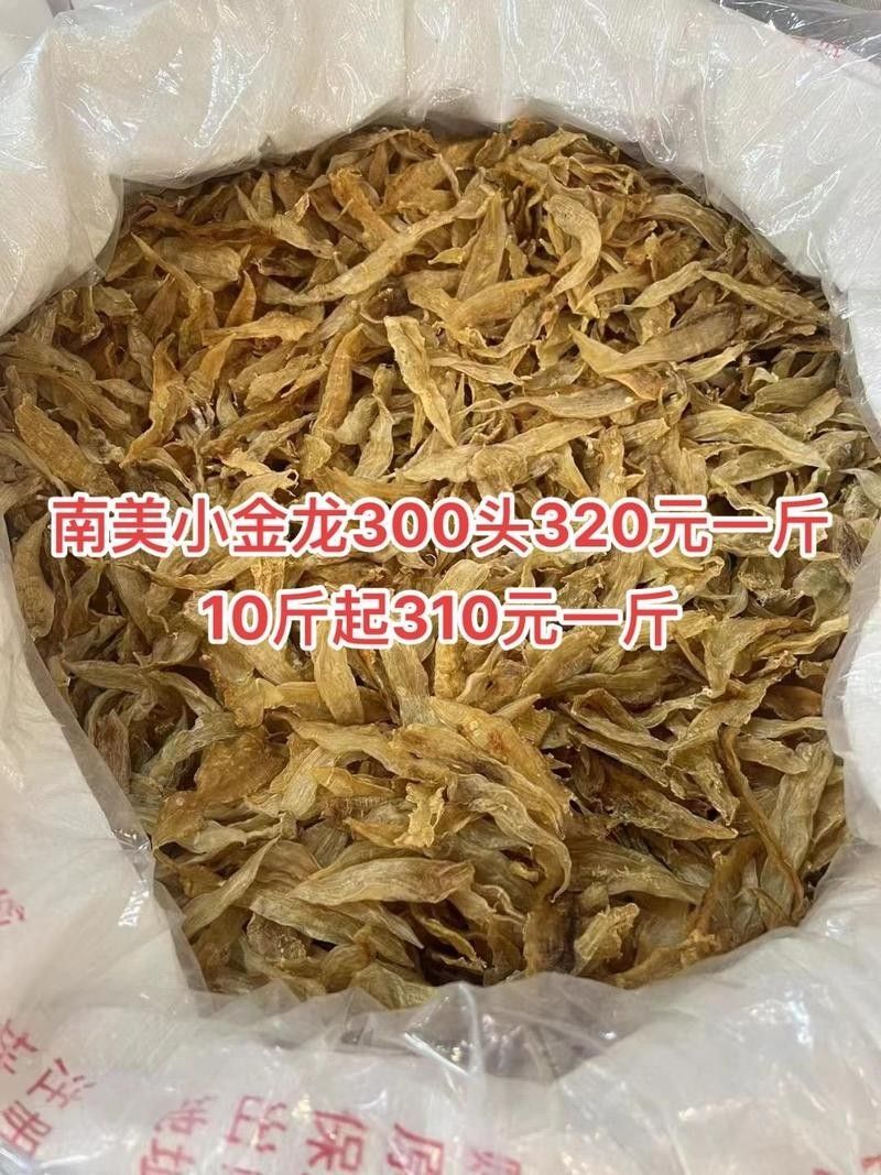 南美小金龍魚膠的價格是多少：南美小金龍魚膠最新報價