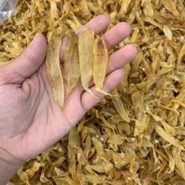 南美小金龍魚膠的價格是多少：南美小金龍魚膠最新報價