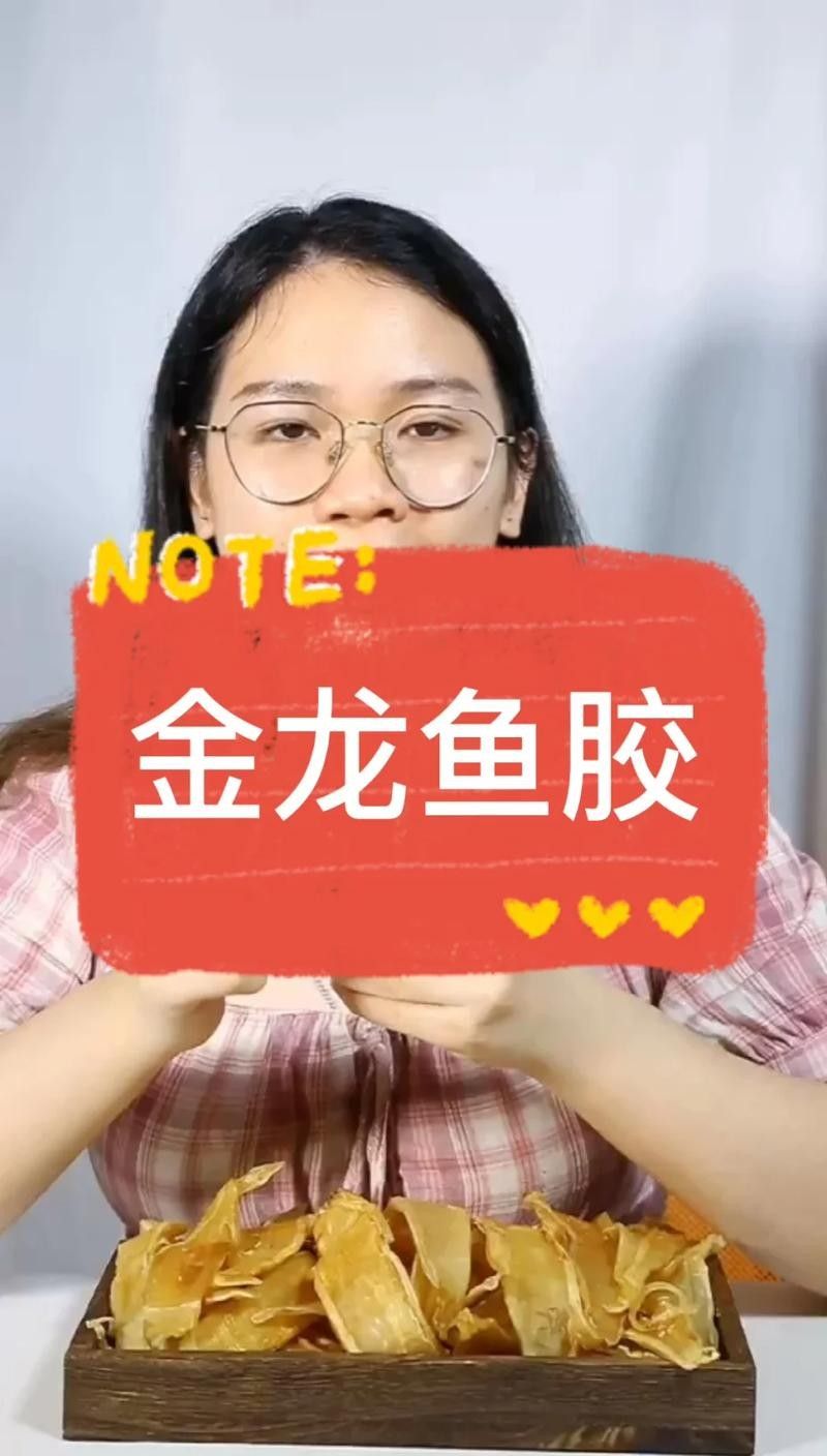 南美小金龍魚膠的價格是多少：南美小金龍魚膠最新報價