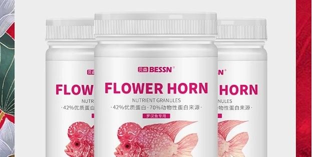 紅龍魚飼料和羅漢魚飼料有何區別：紅龍魚飼料和羅漢魚飼料的區別