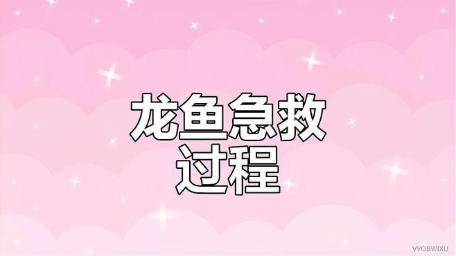 龍魚翹嘴如何急救：魚翹嘴是一種常見的龍魚疾病表現為龍魚頭部向上翹起