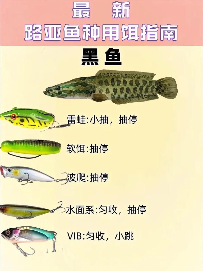 活體餌料如何安全投喂：如何安全地投喂活體餌料，掌握這4個“投喂密碼”