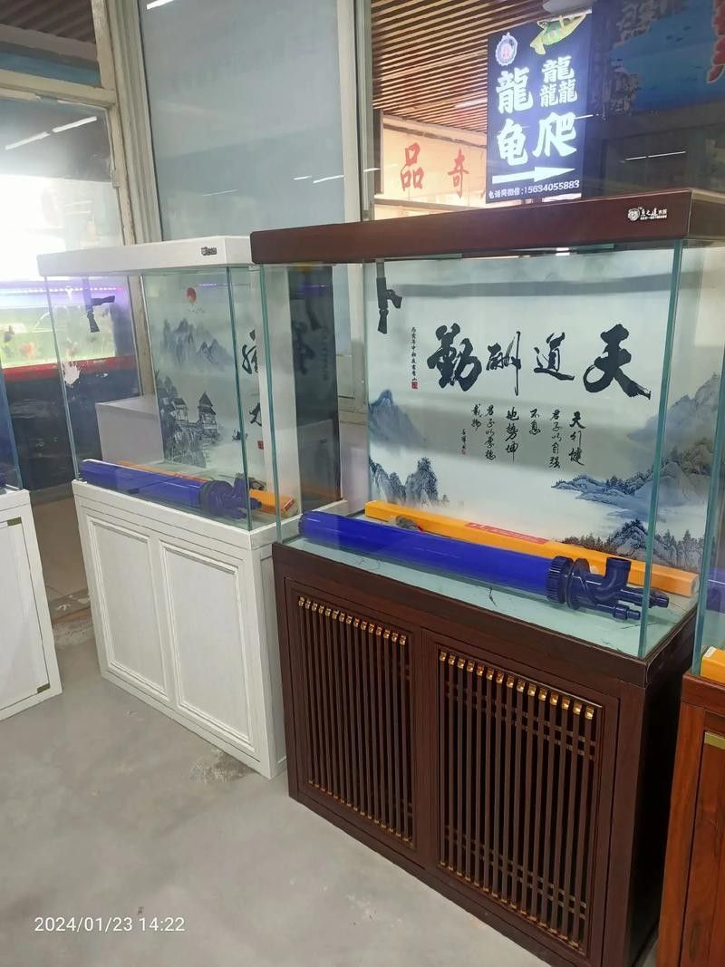 華龍水族市場的口碑如何？：濟南華龍水族市場
