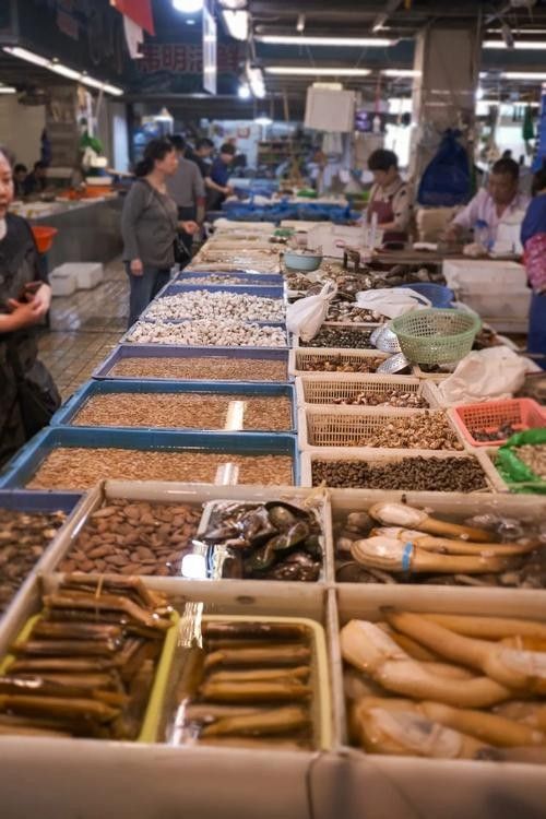 寧波龍魚市場的價格如何?:寧波龍魚市場價格分析 龍魚百科 第3張 寧波龍魚市場的價格如何?:寧波龍魚市場價格分析 寧波龍魚市場的價格如何?:寧波龍魚市場價格分析 龍魚百科 第3張