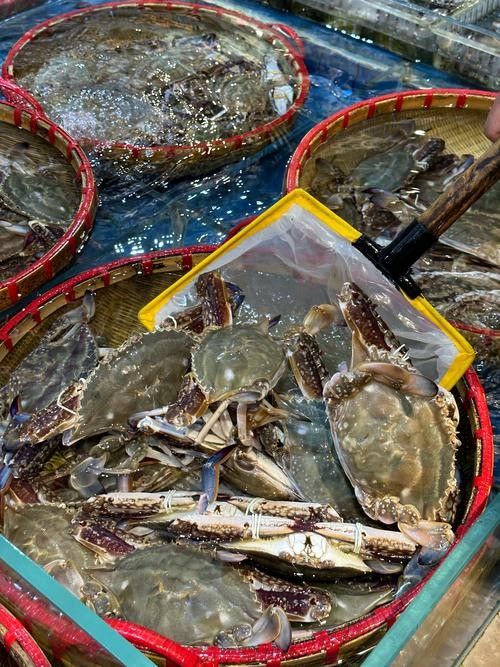寧波龍魚市場的價格如何?:寧波龍魚市場價格分析 龍魚百科 第2張 寧波龍魚市場的價格如何?:寧波龍魚市場價格分析 寧波龍魚市場的價格如何?:寧波龍魚市場價格分析 龍魚百科 第2張