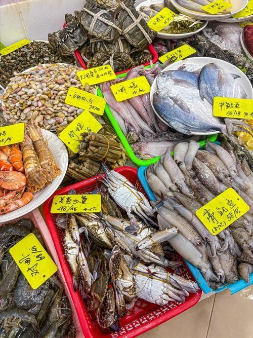 寧波龍魚市場的價格如何?:寧波龍魚市場價格分析 龍魚百科 第1張 寧波龍魚市場的價格如何?:寧波龍魚市場價格分析 寧波龍魚市場的價格如何?:寧波龍魚市場價格分析 龍魚百科 第1張