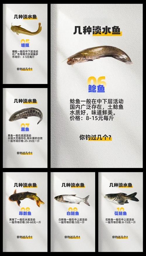 藍黃龍魚的市場需求如何：揭秘藍黃龍魚市場現狀