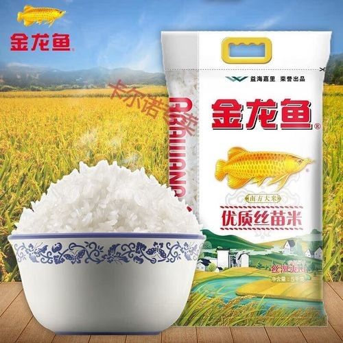 金龍魚絲苗米有哪些系列：絲苗米哪個牌子最好吃