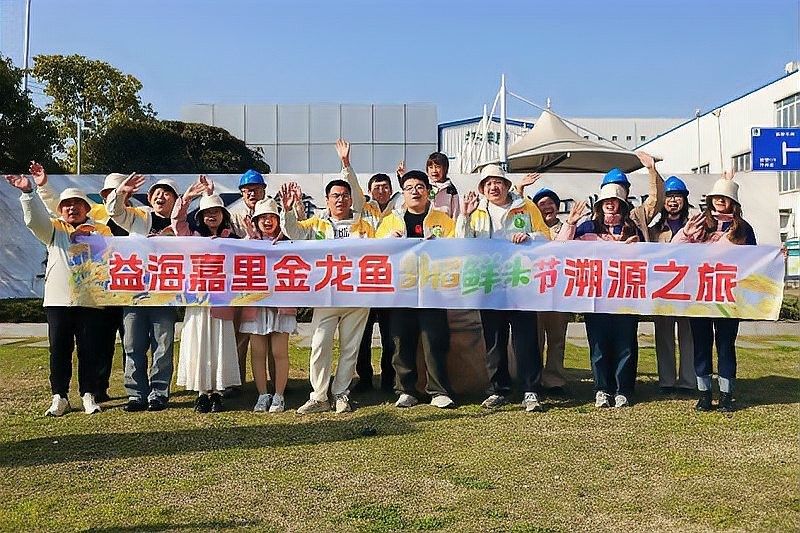 金龍魚絲苗米有哪些系列：絲苗米哪個牌子最好吃