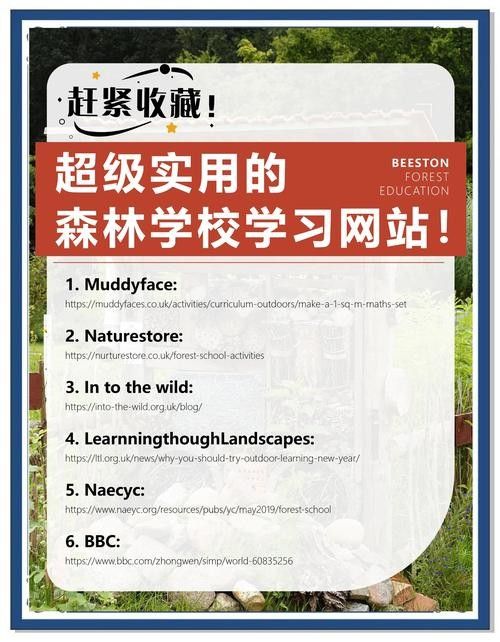 還有哪些分類的精華帖？：探討網絡社區中精華帖的分類