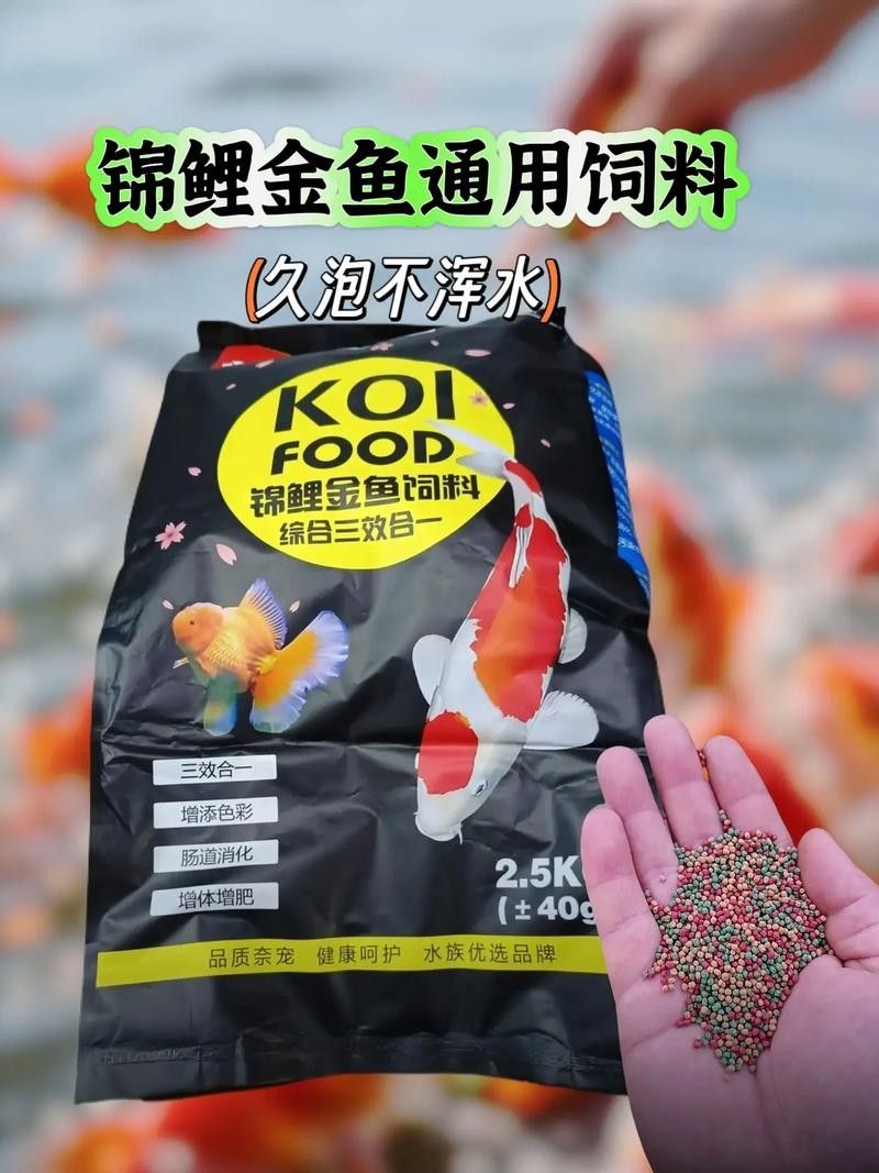 錦鯉魚糧和龍魚飼料有何區(qū)別：錦鯉魚糧和龍魚飼料哪個(gè)品牌好？