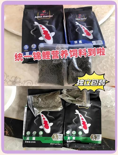 錦鯉魚糧和龍魚飼料有何區(qū)別：錦鯉魚糧和龍魚飼料哪個(gè)品牌好？