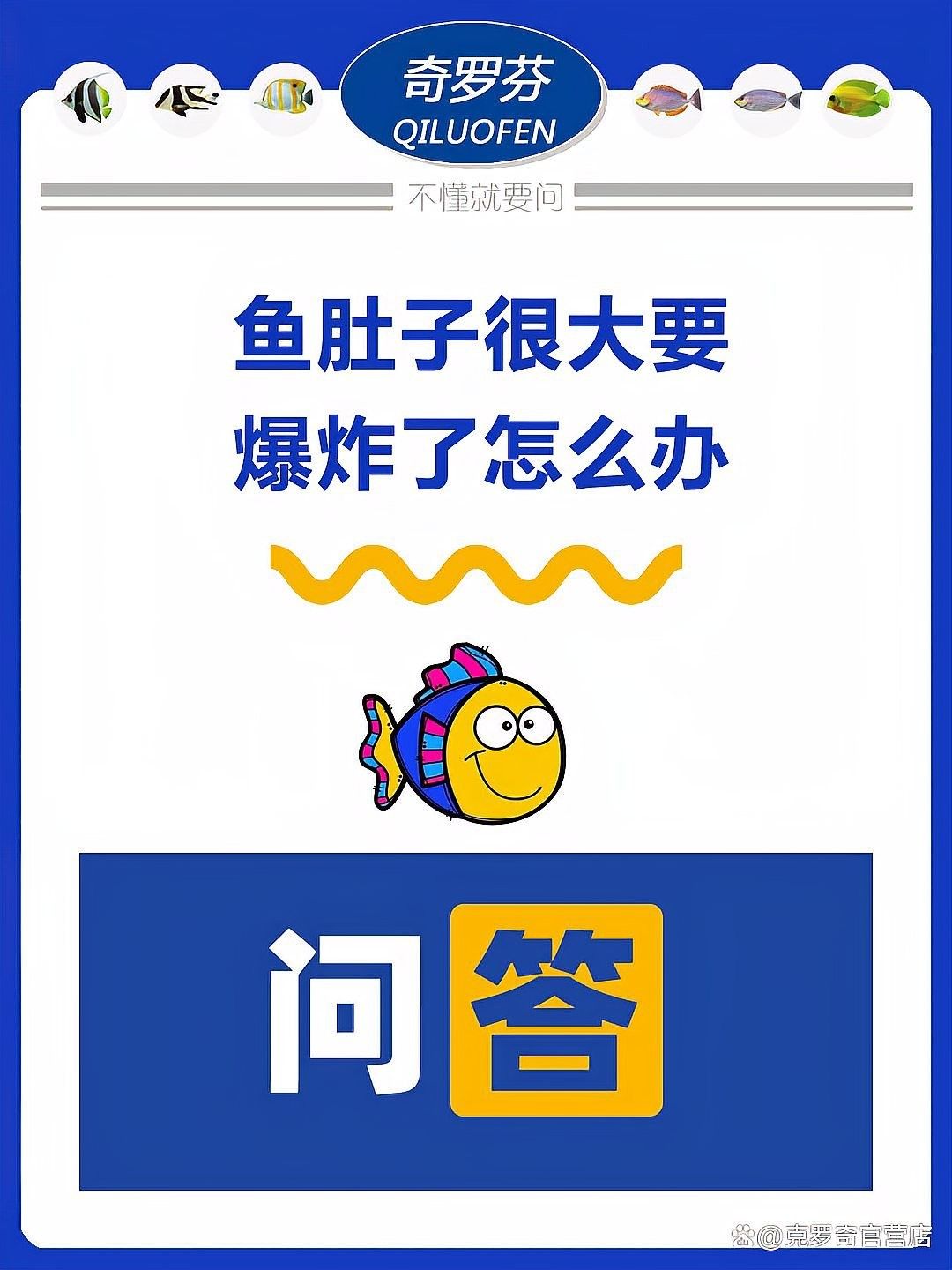 龍魚肚子鼓脹會自行恢復嗎：龍魚肚子鼓脹怎么辦