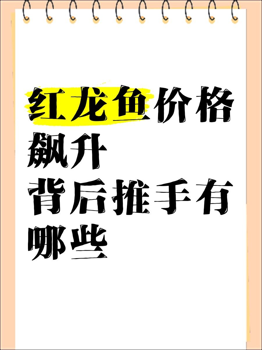 紅金龍魚飼養(yǎng)成本高嗎？：紅金龍魚飼養(yǎng)成本分析 紅金龍魚飼養(yǎng)成本高嗎？：紅金龍魚飼養(yǎng)成本分析 龍魚百科 第15張