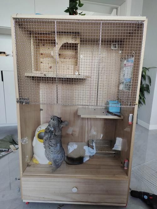 柜籠飼養(yǎng)龍貓有哪些好處：柜籠飼養(yǎng)龍貓的一些主要好處