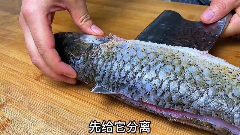 如何處理金龍魚(yú)的硬鱗和尖刺：如何降低觀賞魚(yú)的硬鱗和尖刺問(wèn)題 如何處理金龍魚(yú)的硬鱗和尖刺：如何降低觀賞魚(yú)的硬鱗和尖刺問(wèn)題 龍魚(yú)百科 第4張