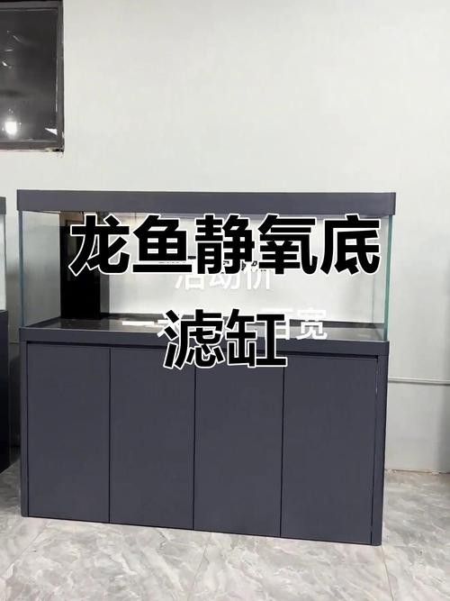 有哪些品牌龍魚過濾器推薦？：龍魚過濾器品牌排行榜京東養魚人避坑指南