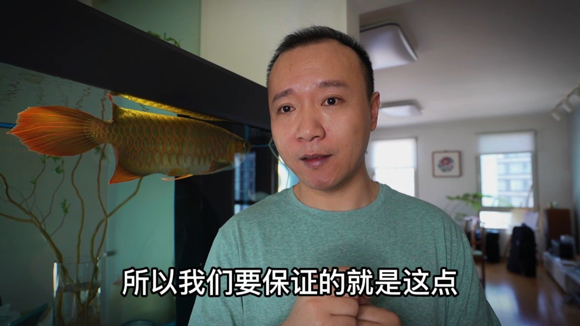 龍魚喂食時間安排：魚喂食時間安排是確保其健康和活力的關鍵