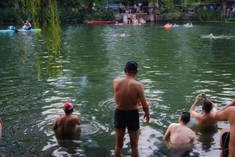如何拍攝火龍魚的視頻：如何在視頻中展現火龍魚的紅色鱗片？