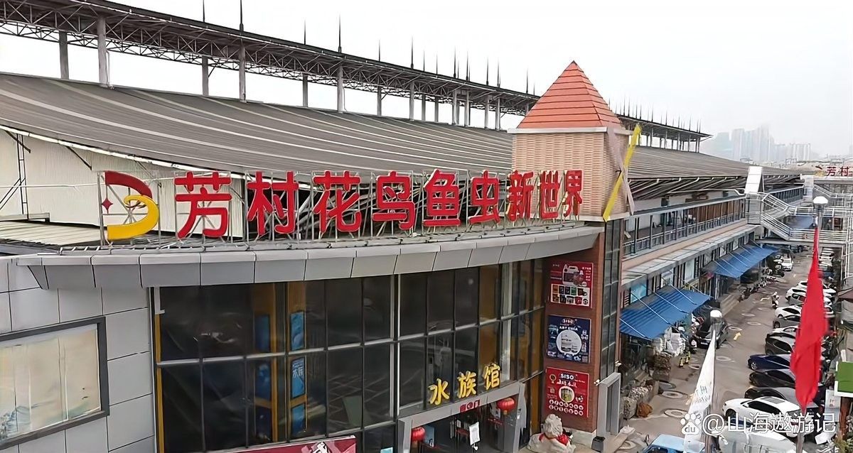 花地灣花鳥魚蟲市場搬遷后情況如何：花地灣花鳥魚蟲市場搬遷后有哪些公交線路直達芳村花鳥新世界