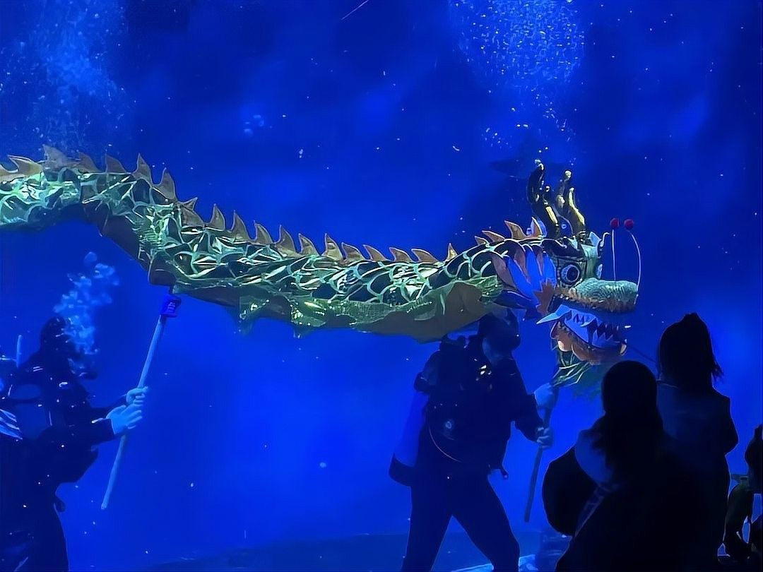 伊吾哪個水族館龍魚好？祥龍魚場龍魚：伊吾哪個水族館龍魚好 伊吾哪個水族館龍魚好？祥龍魚場龍魚：伊吾哪個水族館龍魚好 龍魚百科 第8張